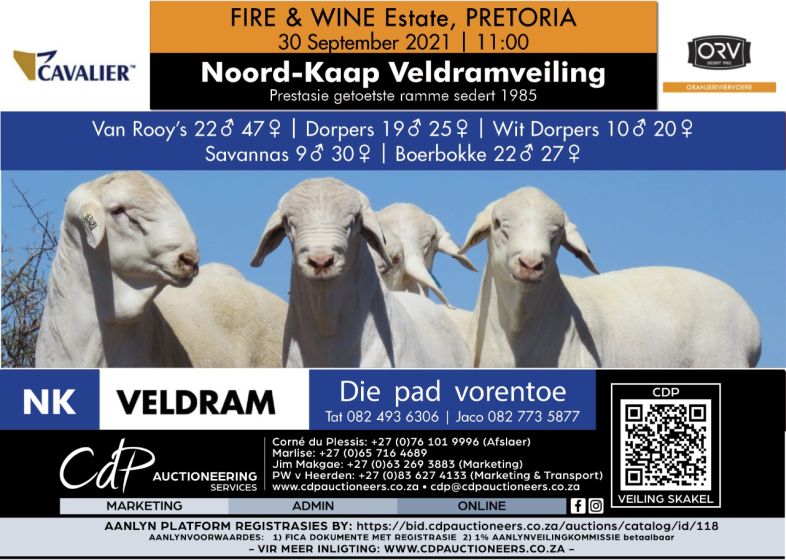 PRETORIA Veldramveiling 2021